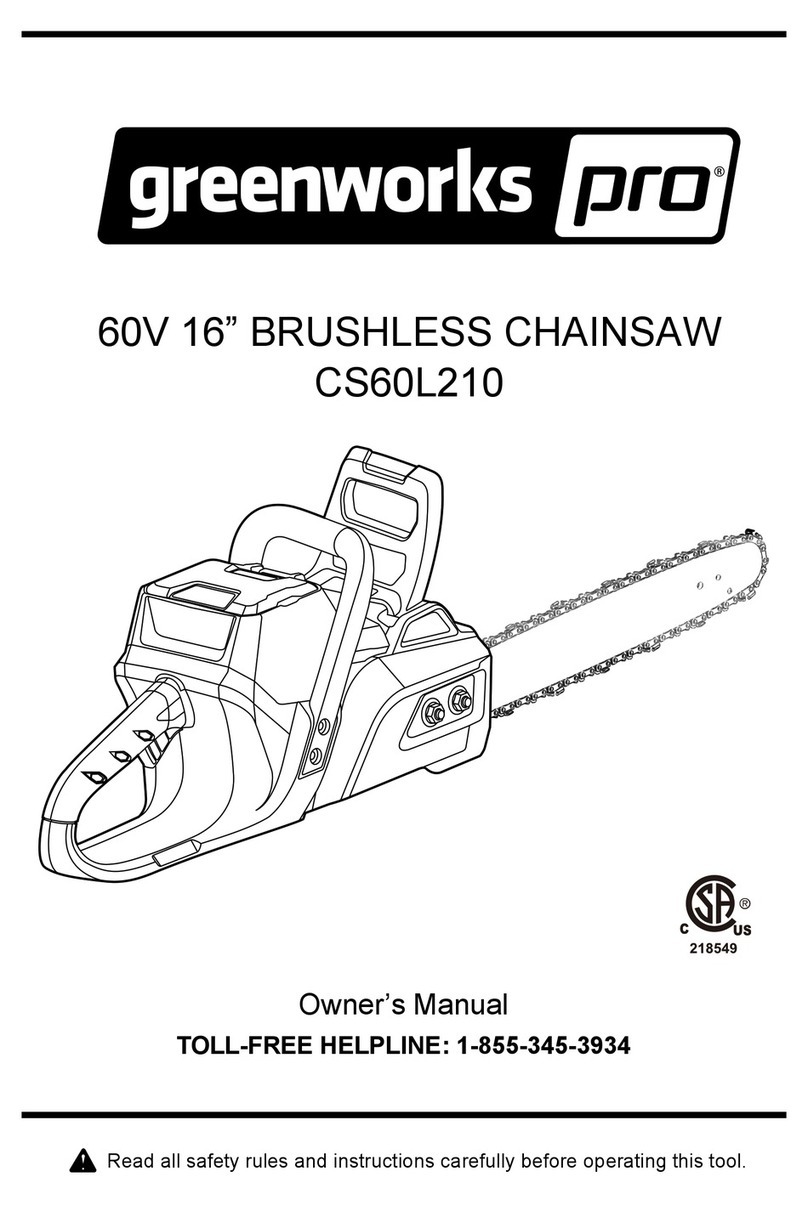 GreenWorks Pro CS60L210 User manual