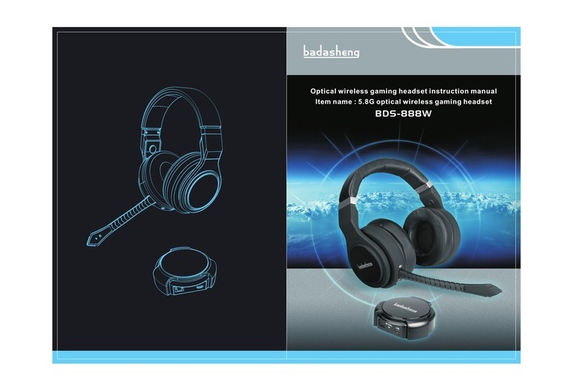 Badasheng BDS-888W instructions