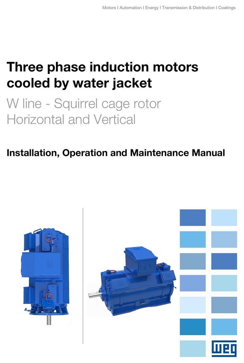 WEG WGM General instructions