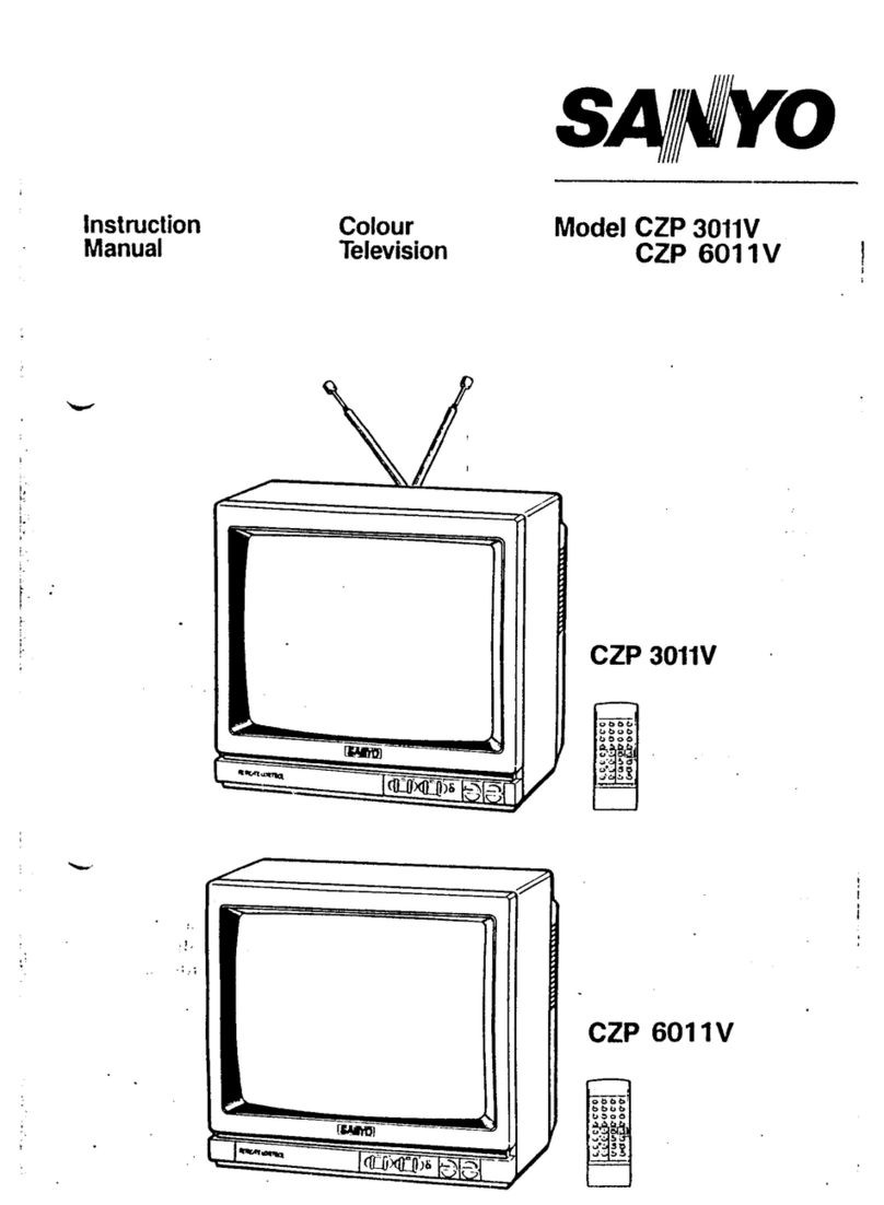 Sanyo CZP 6011V User manual Sanyo CZP 6011V User manual