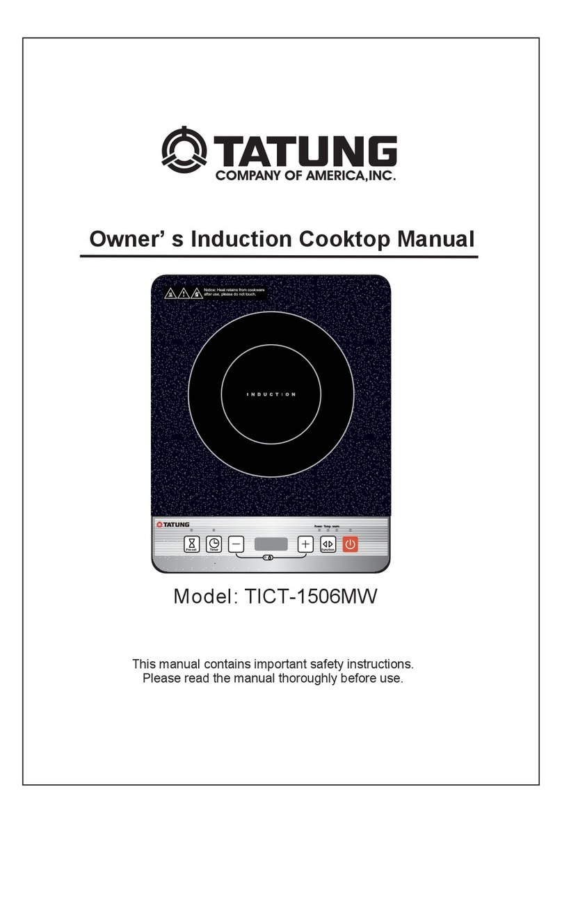 Tatung TICT-1506MW User manual