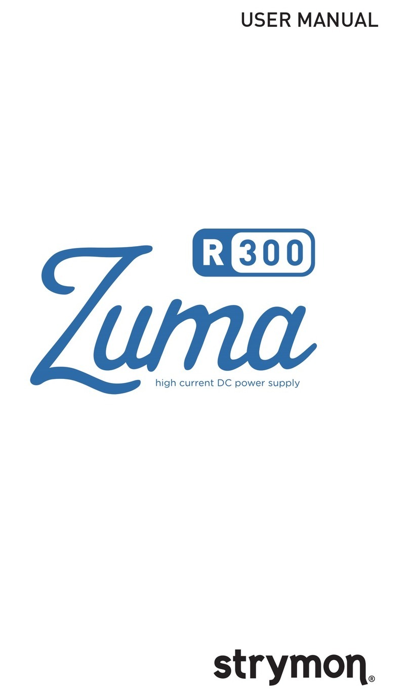Strymon ZUMA R300 user manual