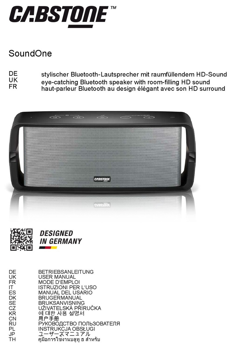 cabstone SoundOne user manual