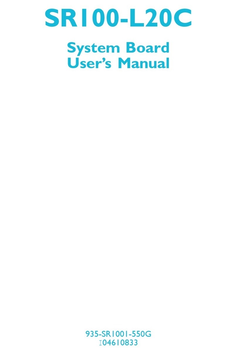 DFI SR100-L20C user manual
