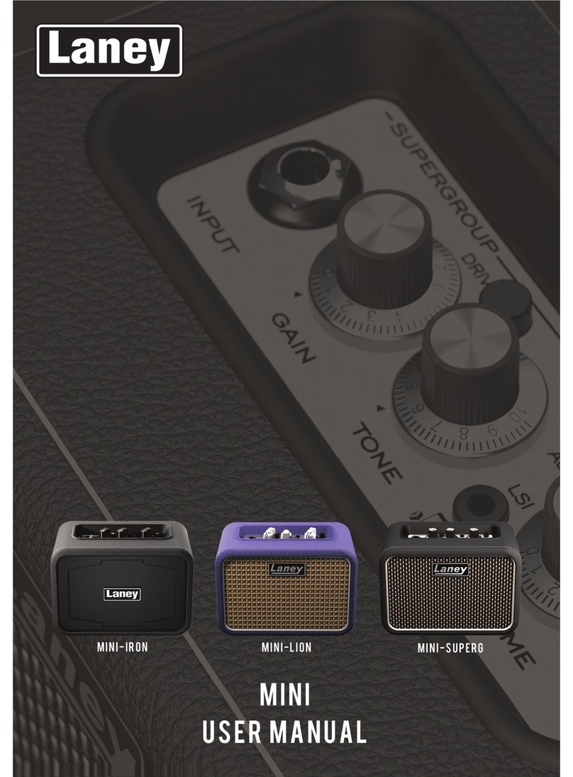 Laney mini-iron User manual
