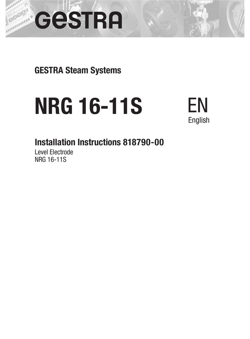 GESTRA NRG 16-11S installation instructions