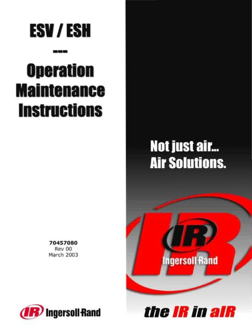 IR Ingersoll Rand ESV Troubleshooting guide