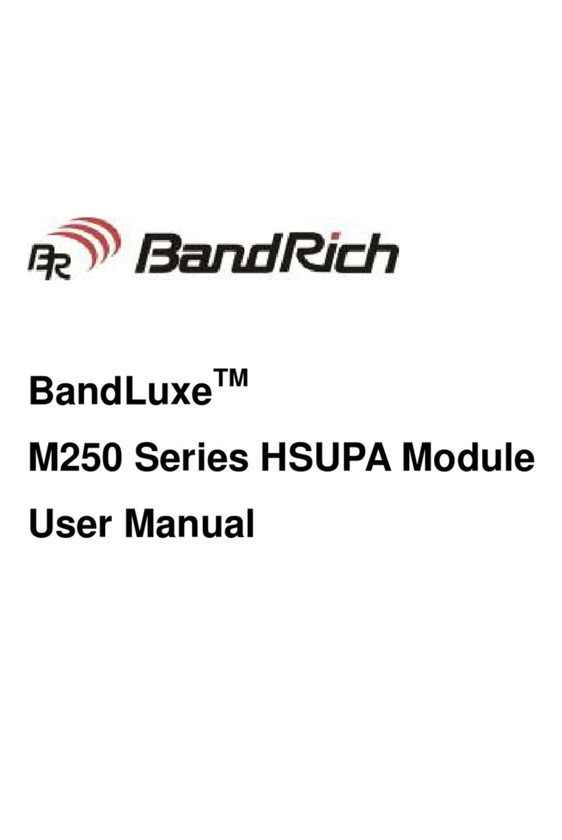 BandRich BandLuxe M250 User manual
