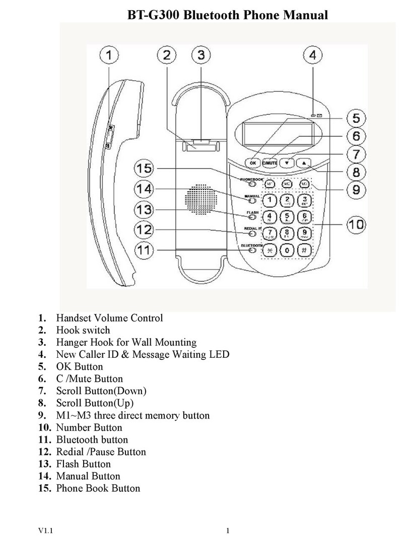TeleWell BT-G300 manual