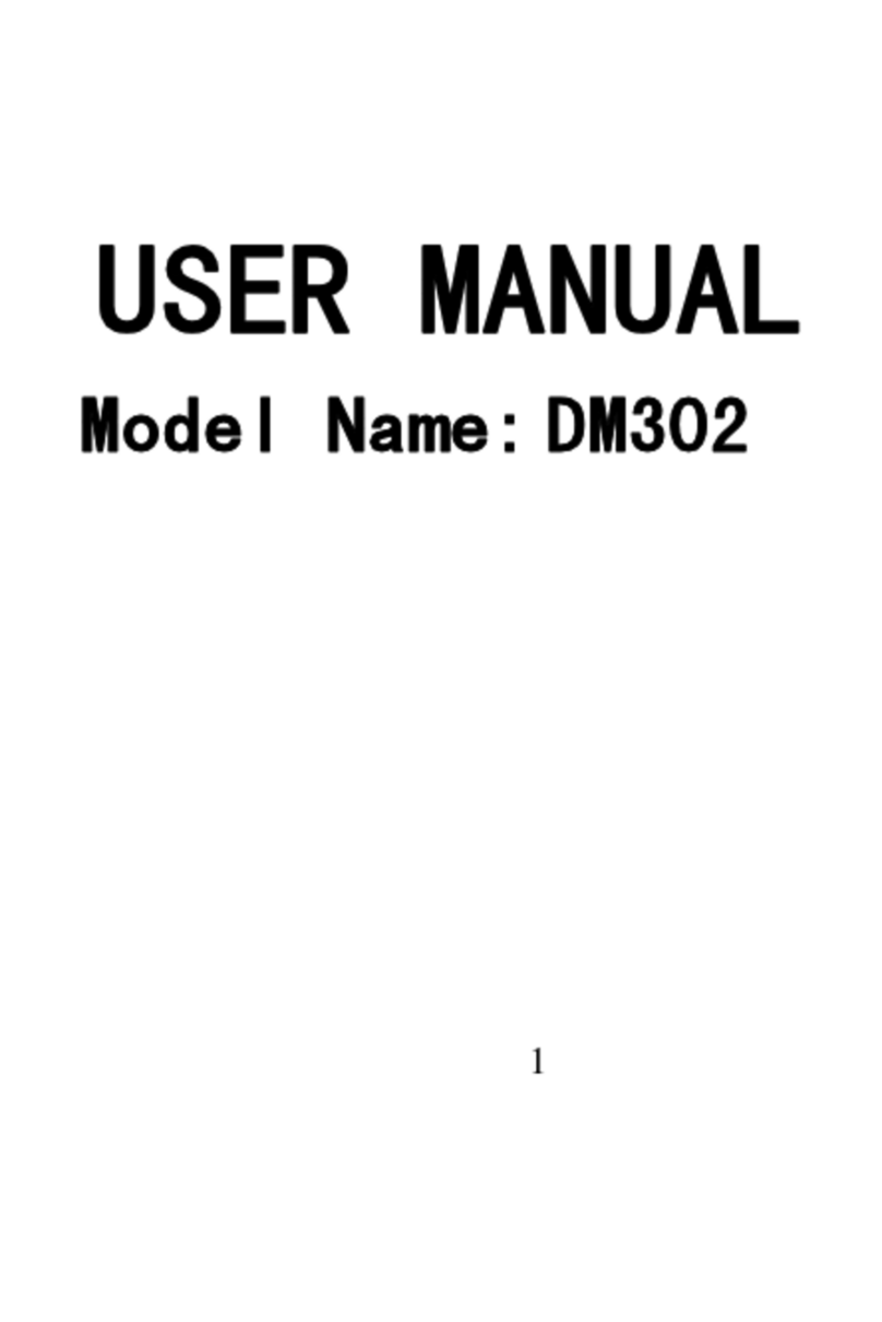 DIGILINK Group DM302 user manual