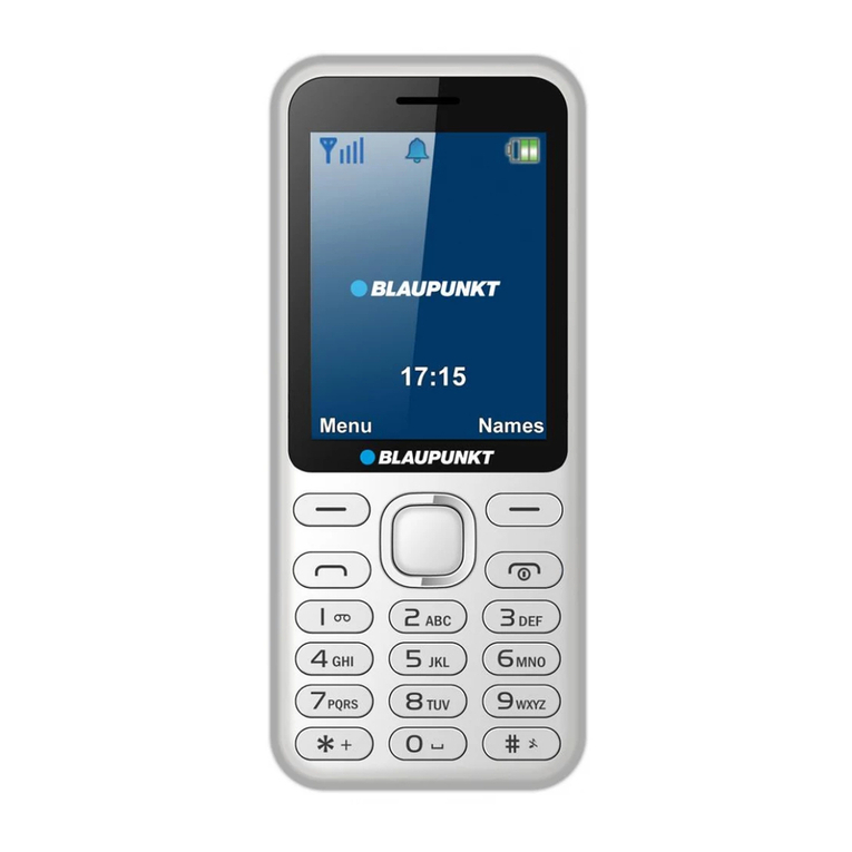 Blaupunkt FM 02 User manual