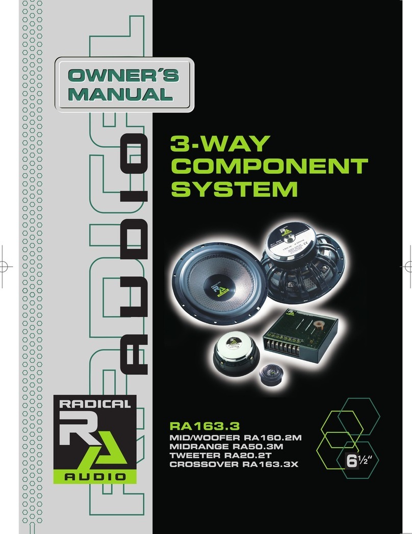 RADICAL AUDIO RA163.3 owner's manual