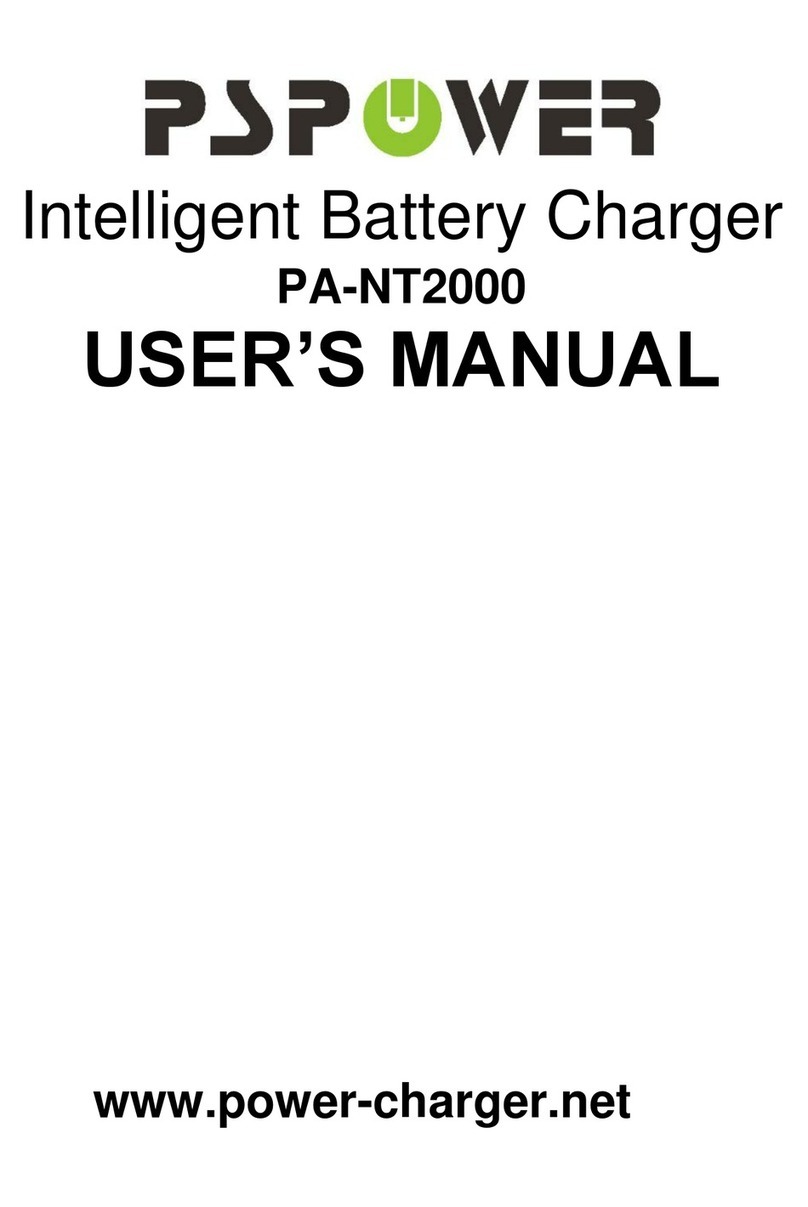PSPOWER PA-NT2000 User manual