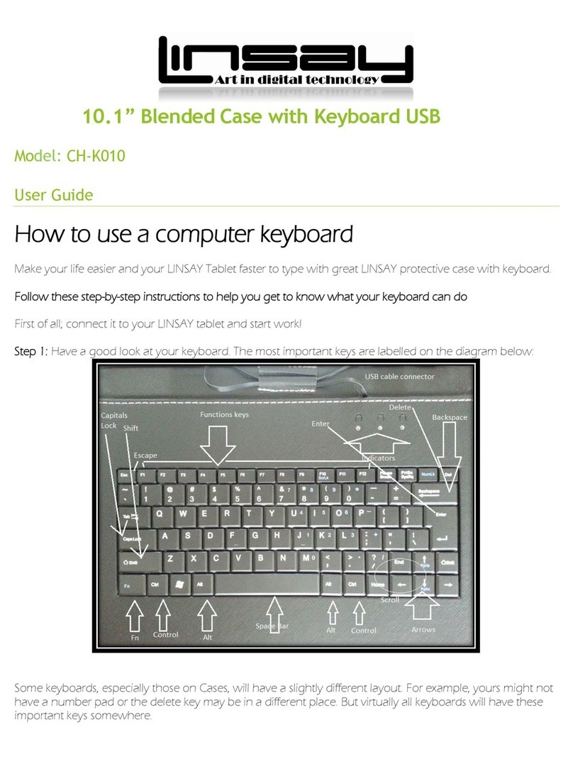 Linsay CH-K010 user guide