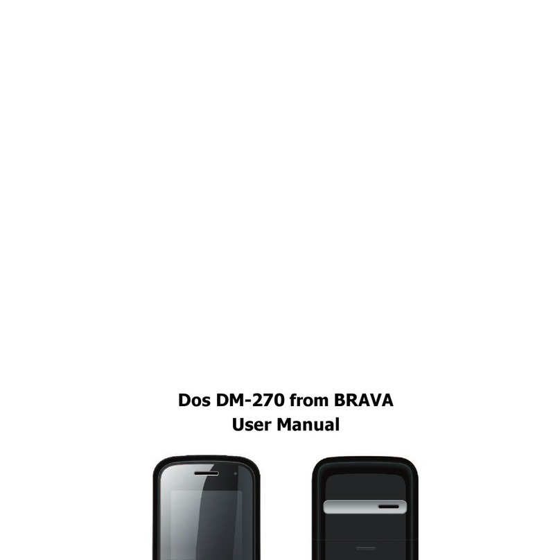 Brava DM-270 user manual