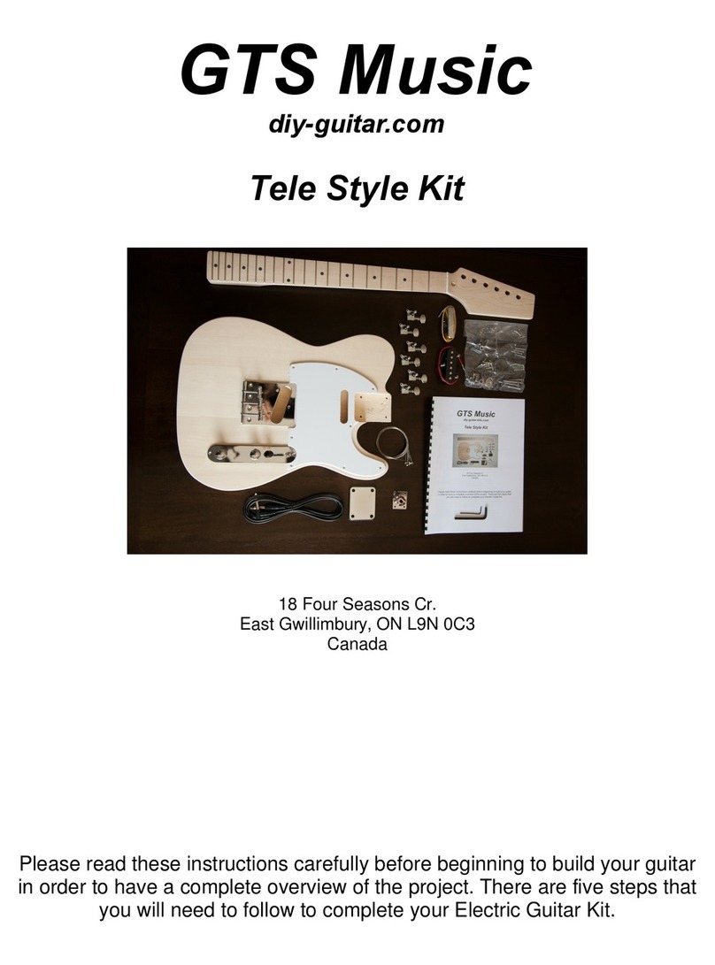 GTS Music Tele Style Kit Assembly instructions