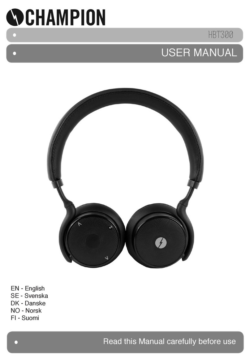 Champion HBT300 user manual