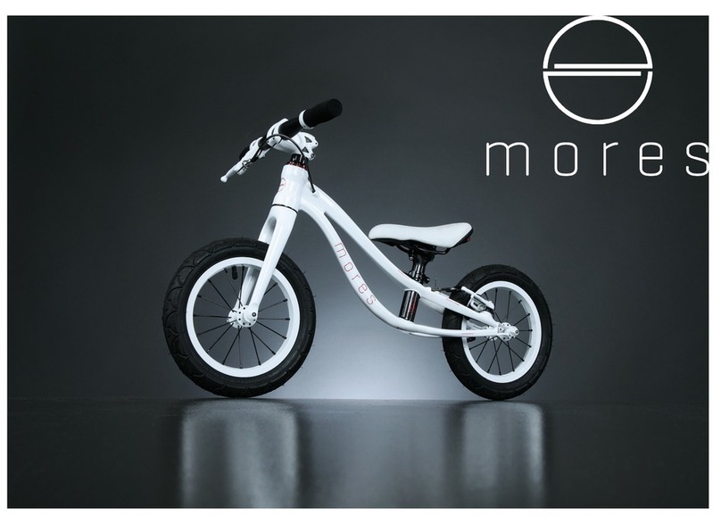 MORES PETITPIERRE owner's manual