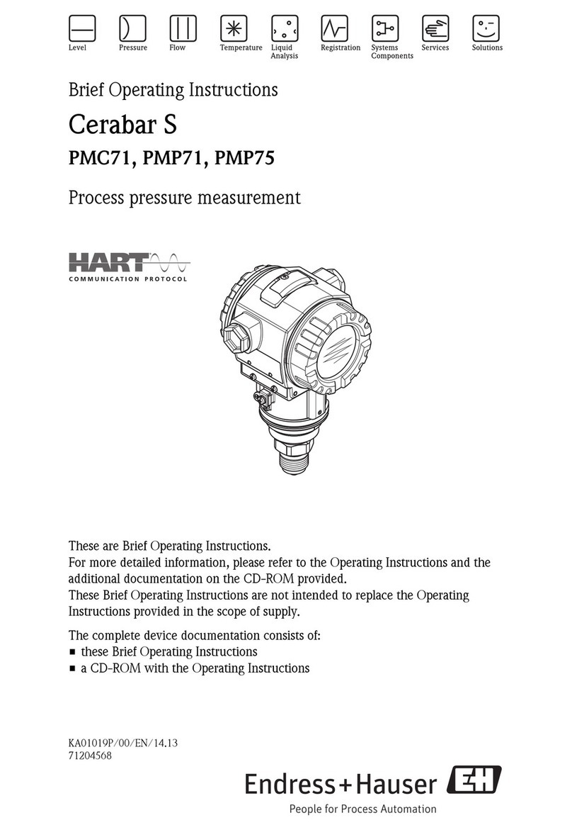 Endress+Hauser Cerabar S PMC71 Technical specifications
