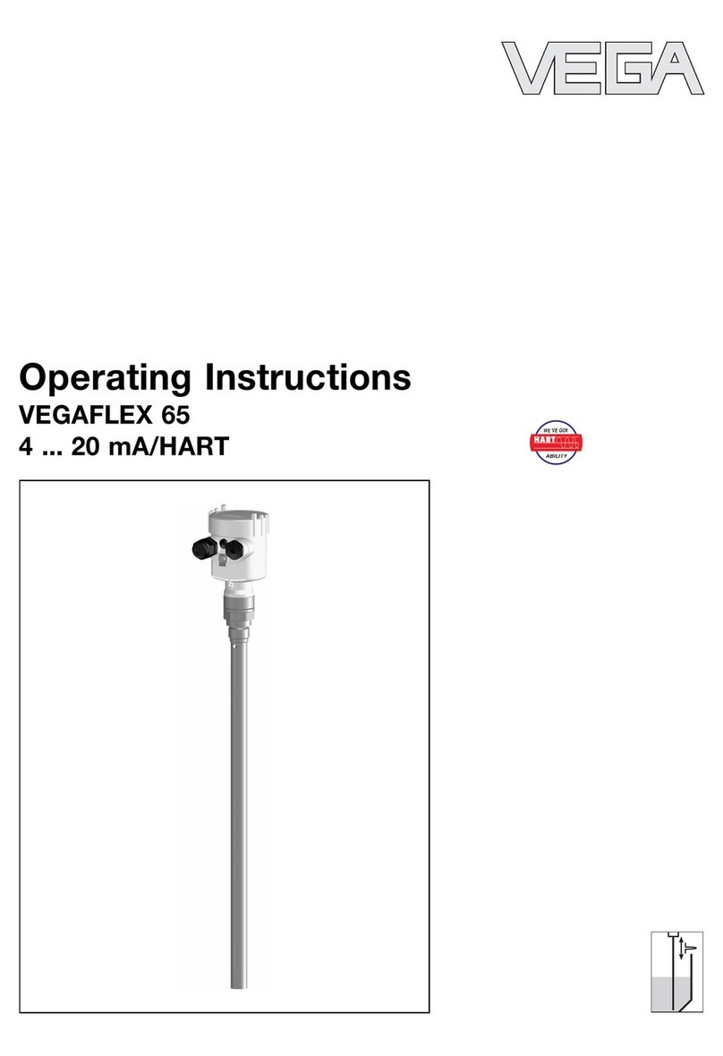 Vega VEGAFLEX 65 User manual