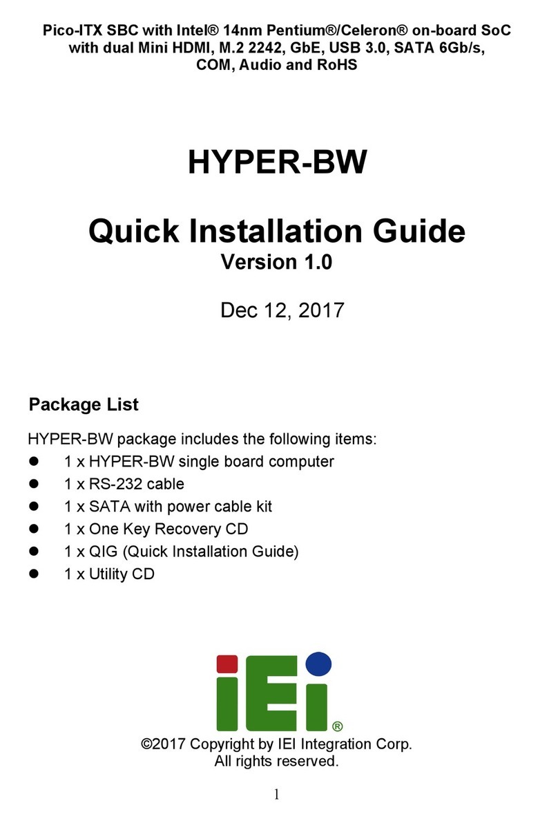 IEI Technology HYPER-BW User manual