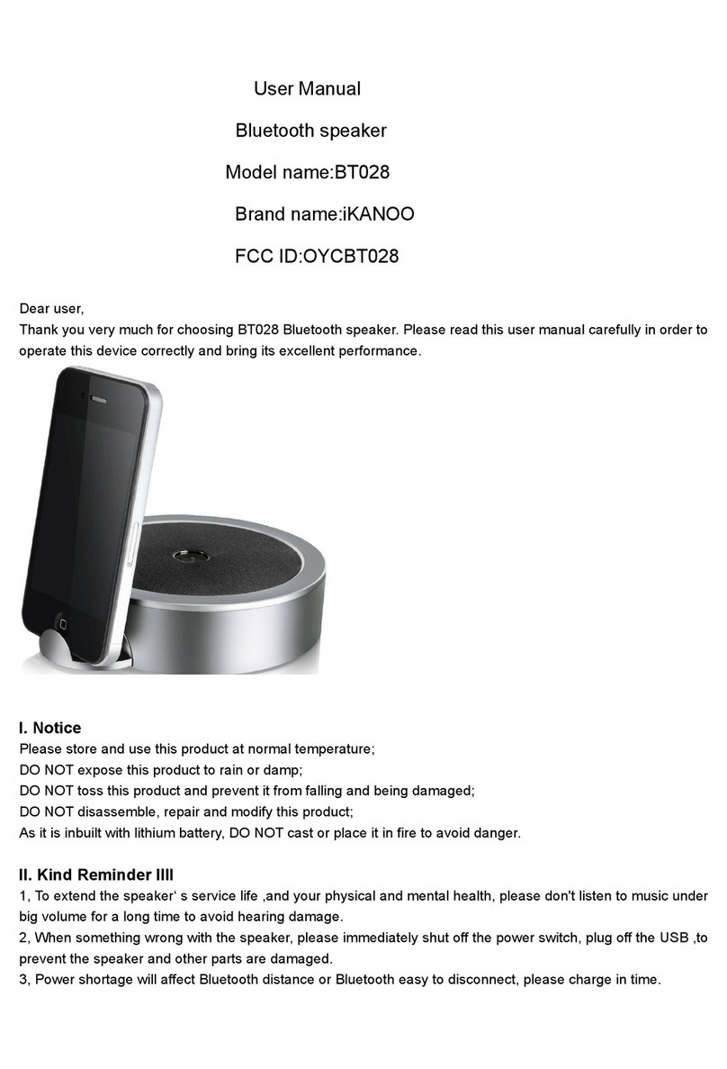 iKANOO BT028 User manual