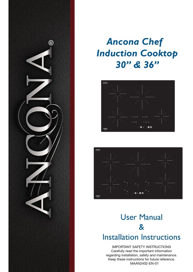 Ancona AN-2402 Manual