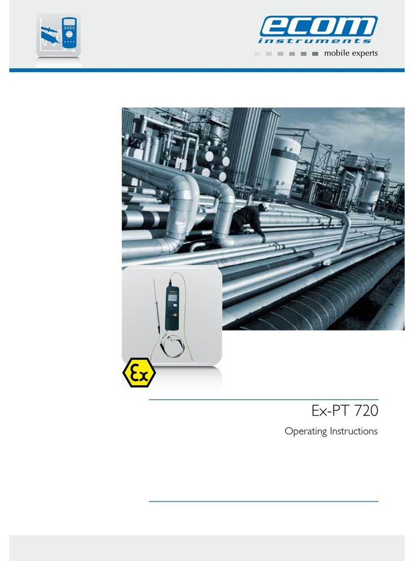Ecom Instruments Ex-Pt 720 User manual
