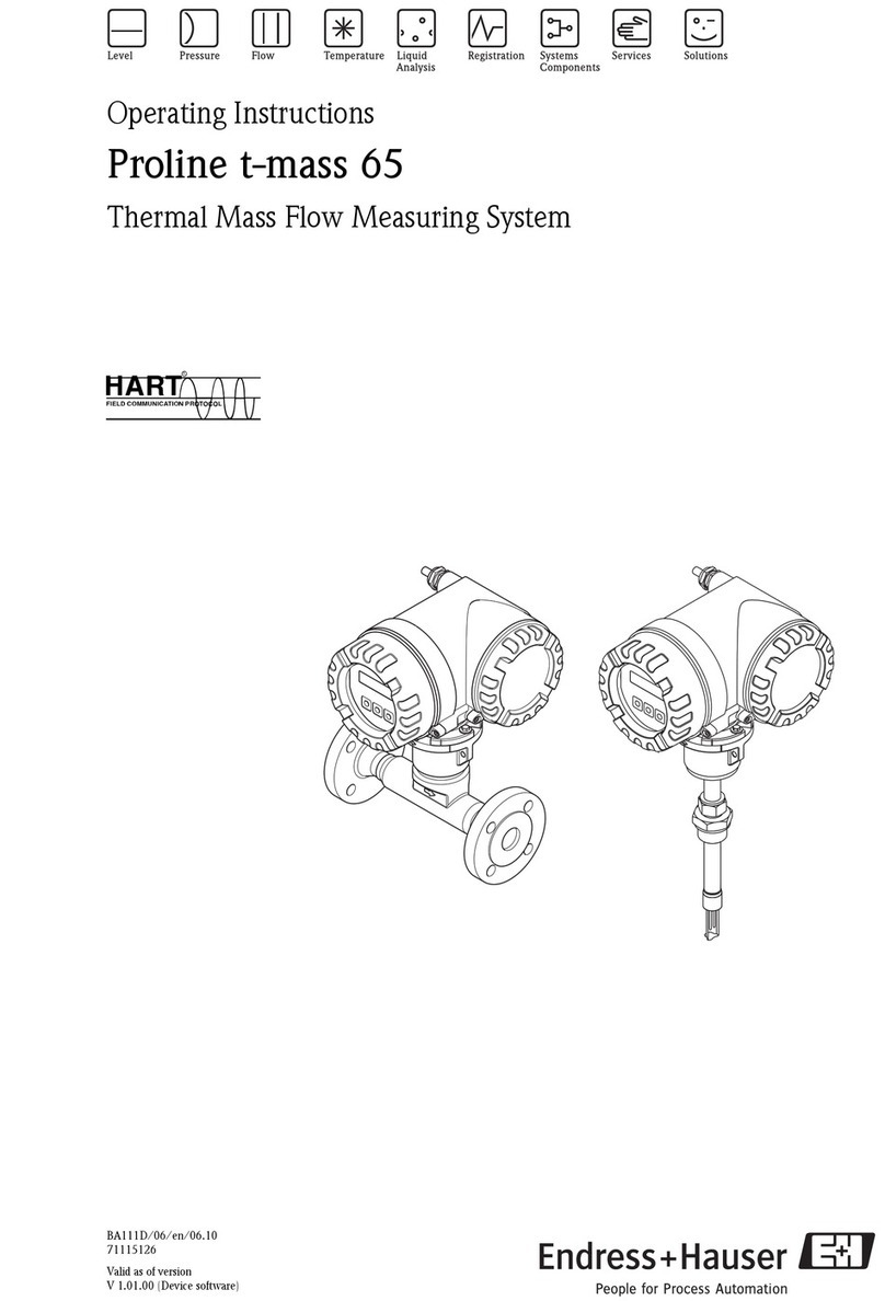 Endress+Hauser Proline t-mass 65 operating instructions