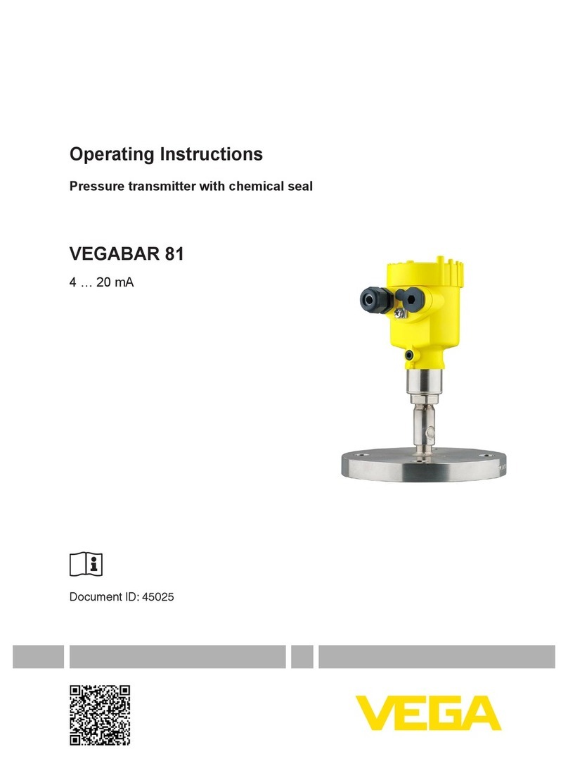 Vega VEGABAR 81 User manual