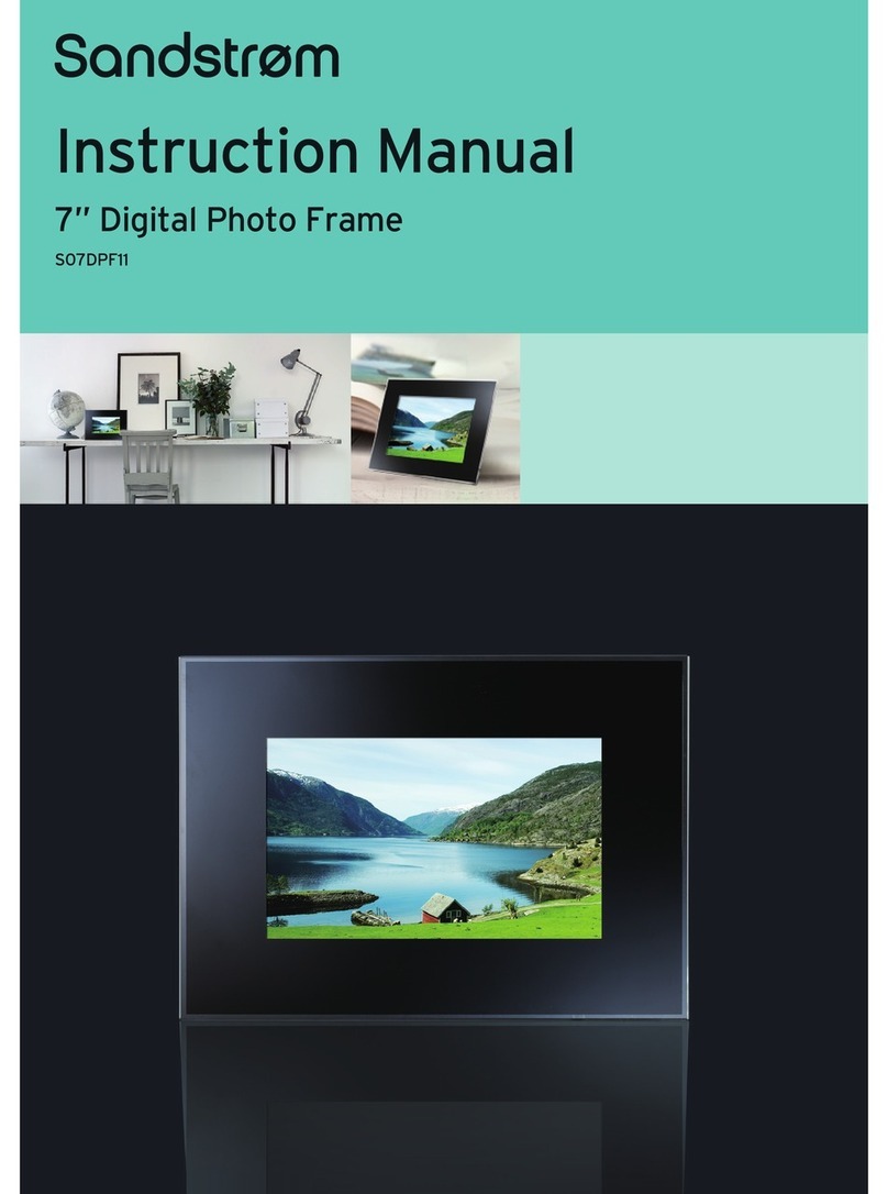 Sandstrom S07DPF11 instruction manual