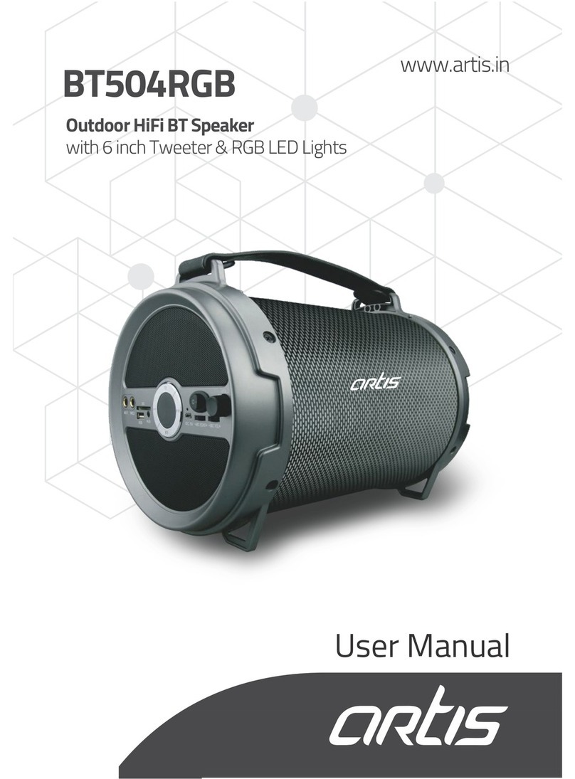 Artis BT504RGB user manual