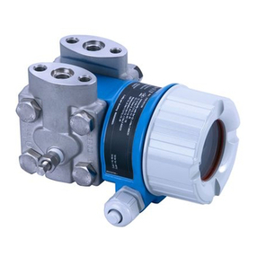 Endress+Hauser Deltabar M PMD55 Technical specifications