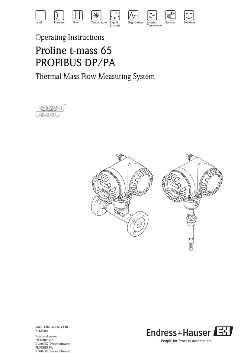 Endress+Hauser Proline t-mass 65 User manual