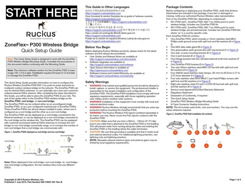 Ruckus Wireless ZoneFlex P300 User manual