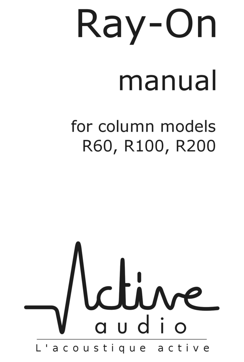 Active Audio R60 manual