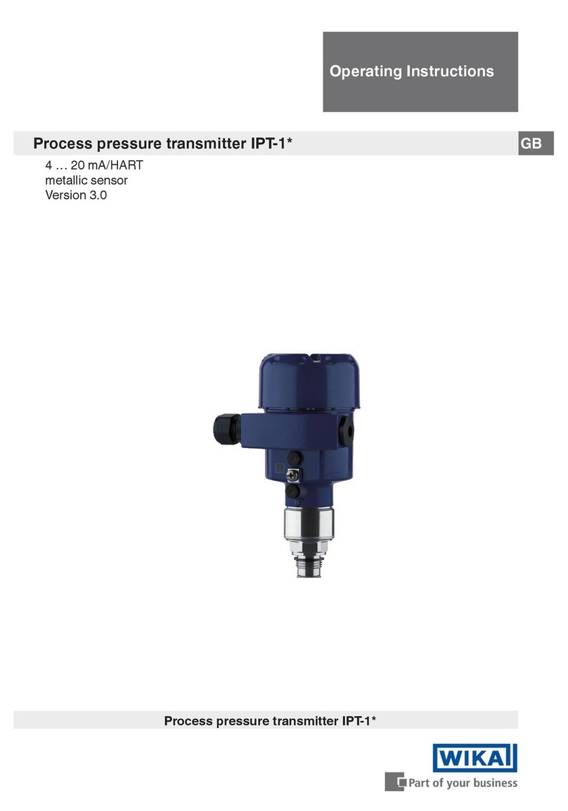 WIKA IPT-1 series User manual