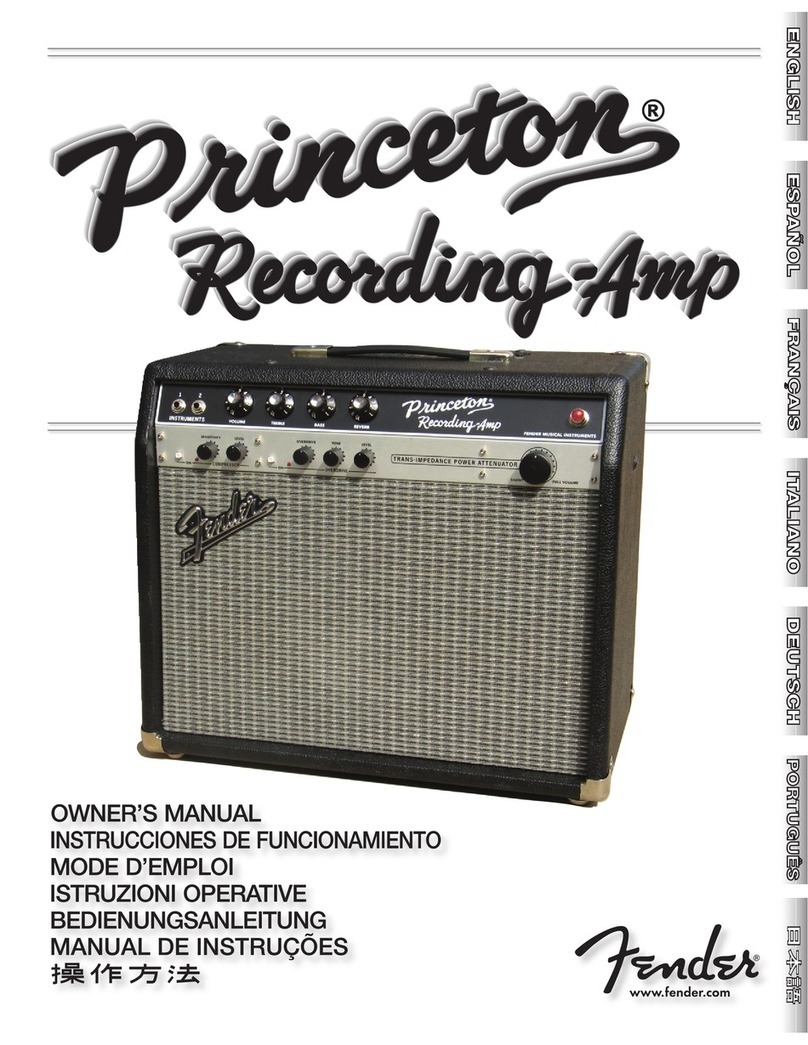 Fender Princeton Recording Amp User manual