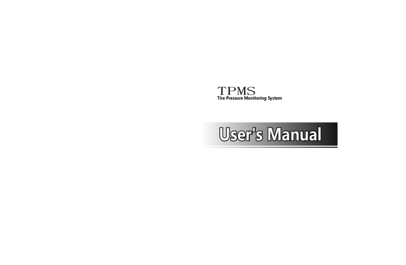 Wellgain Auto Technology WT310 user manual