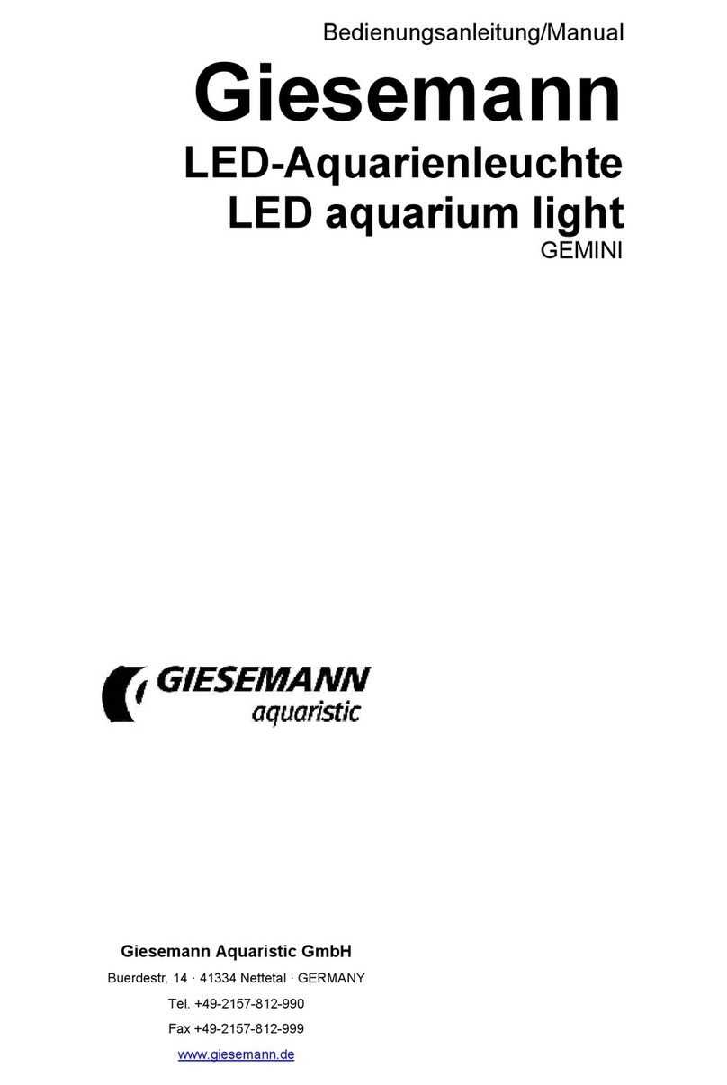 Giesemann GEMINI manual