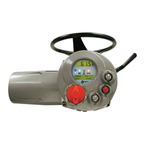 Pentair Biffi ICON 2000 Parts list manual