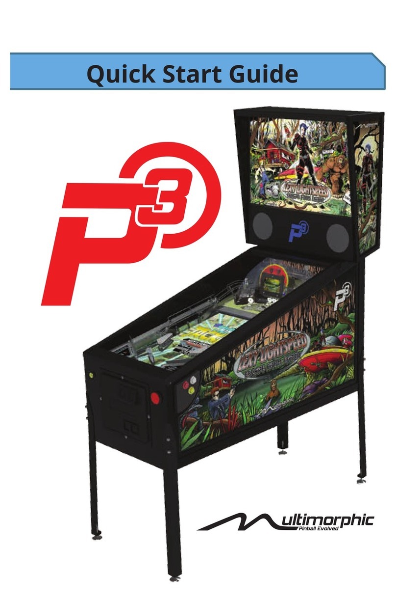 Multimorphic P3 User manual