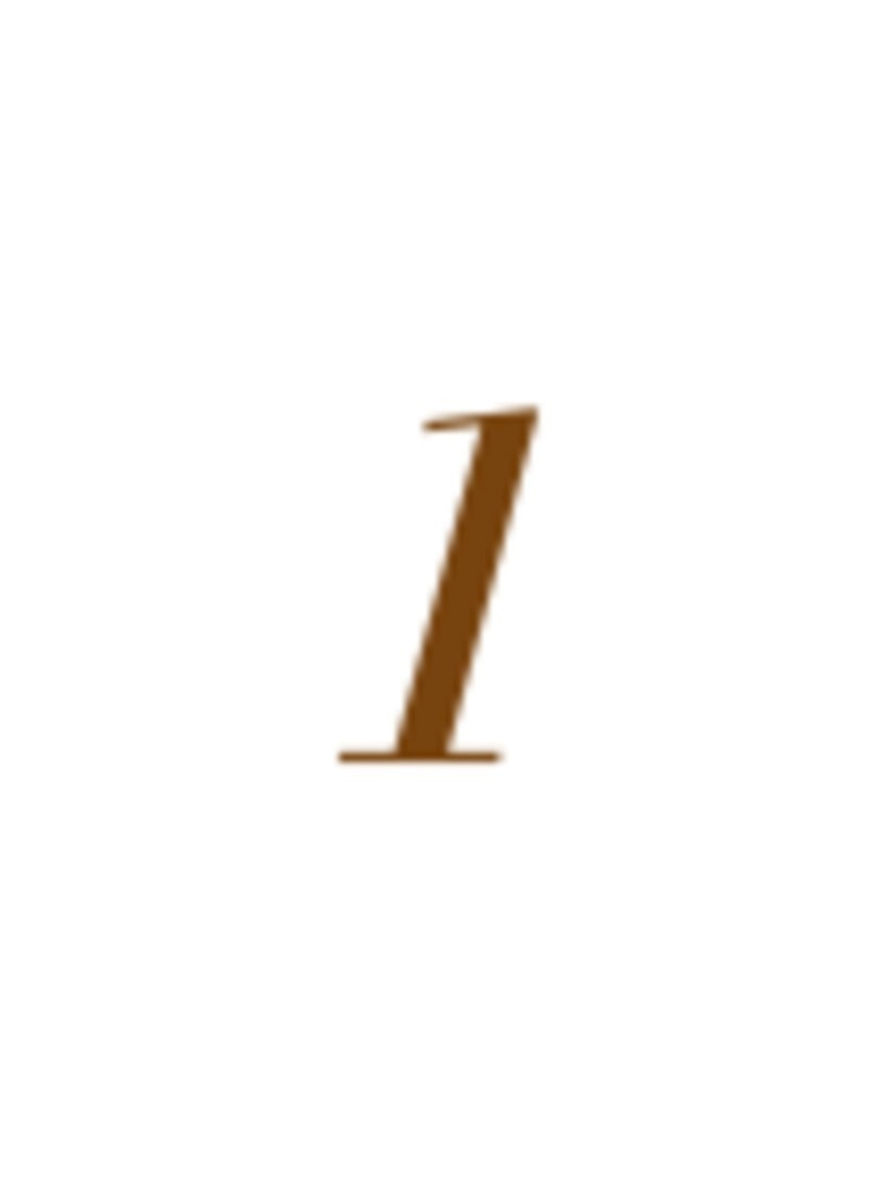 Philip Stein The Prestige Collection user manual