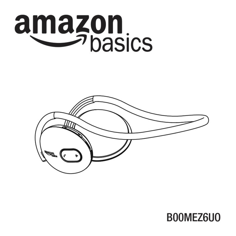 AmazonBasics BT3100 User manual