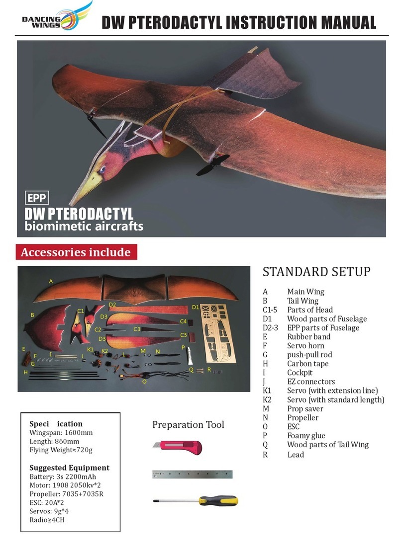 Dancing Wings DW PTERODACTYL User manual