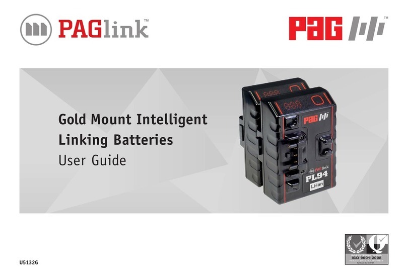 paglink 9313 user guide