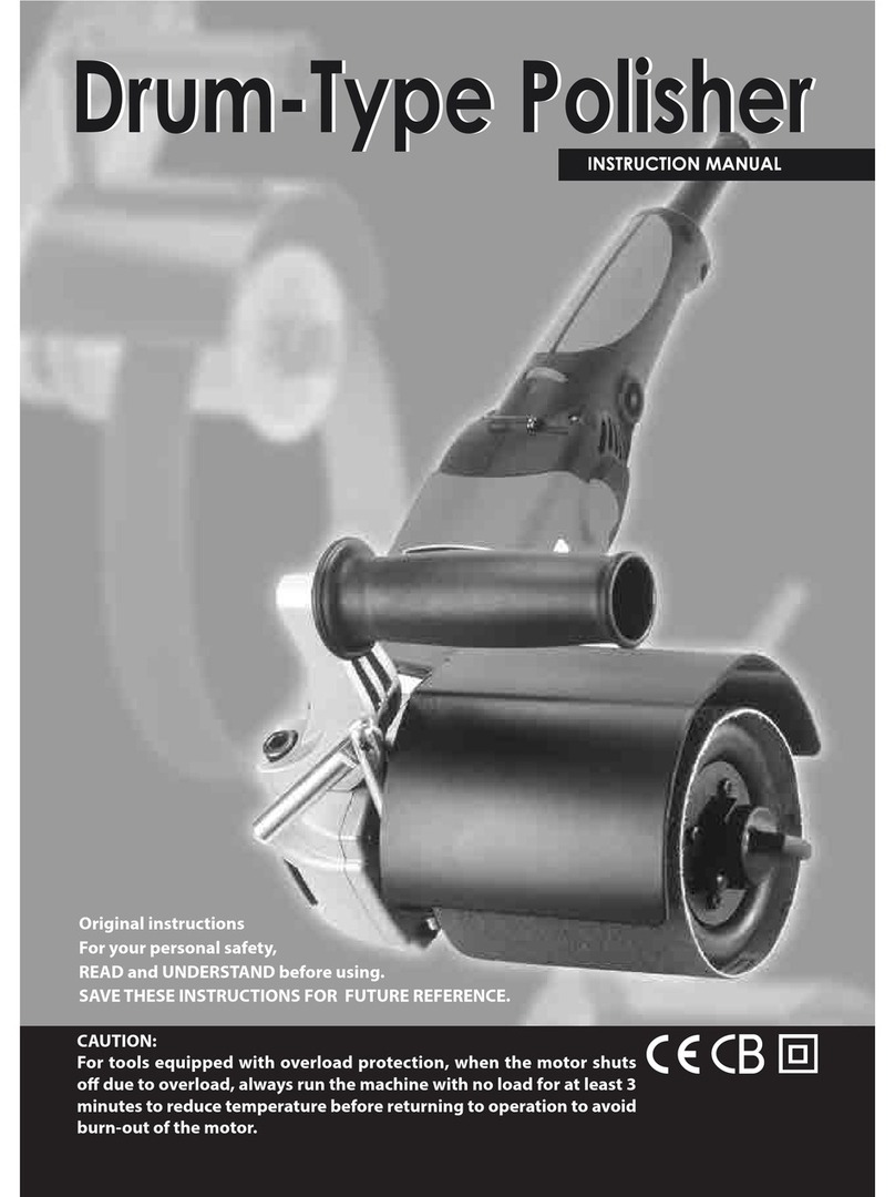 AGP DP100 instruction manual