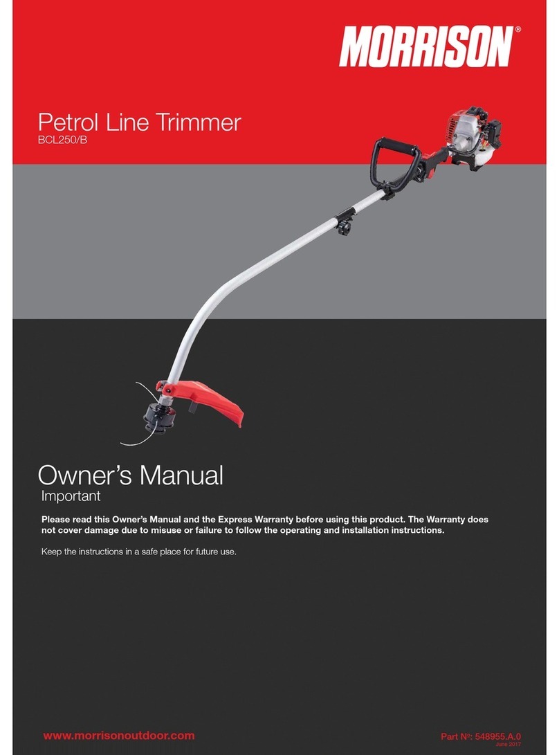Morrison BCL250/B owner's manual