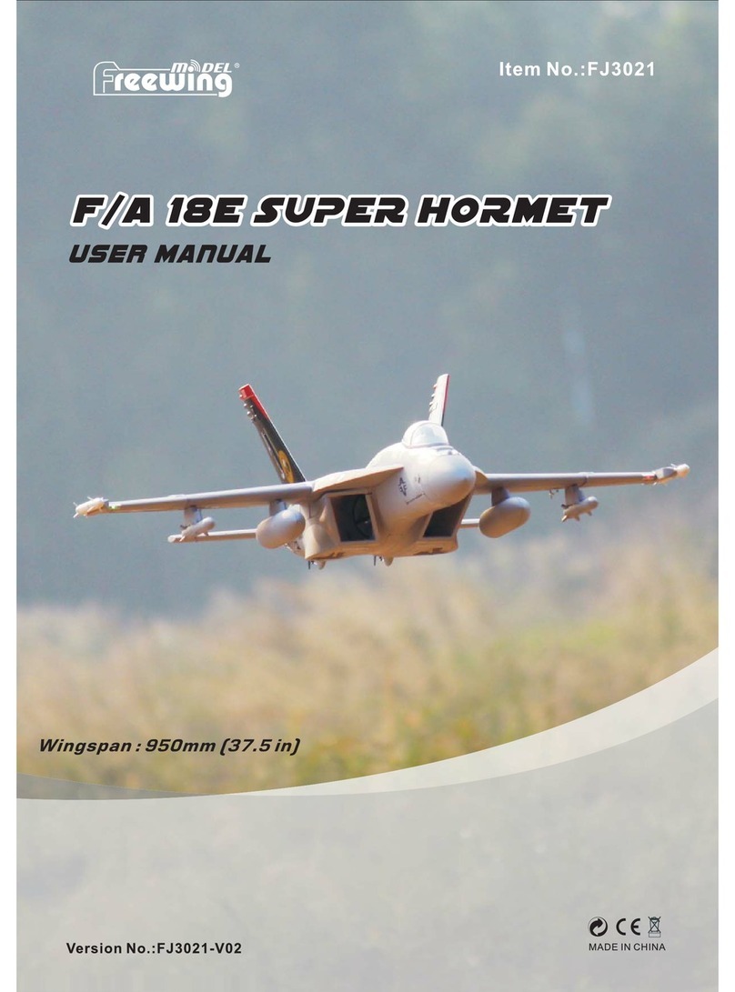 Freewing FJ3021 User manual