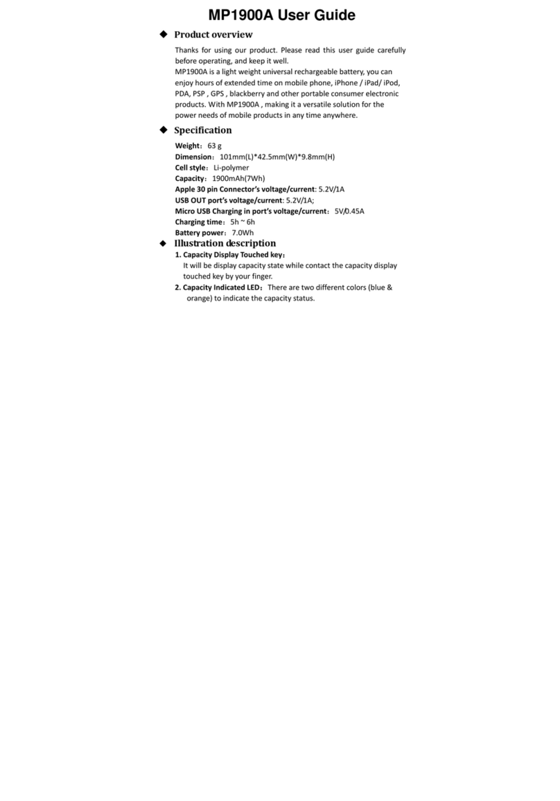 Timtech MP1900A user guide